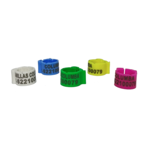 Click abiertas personalizadas
