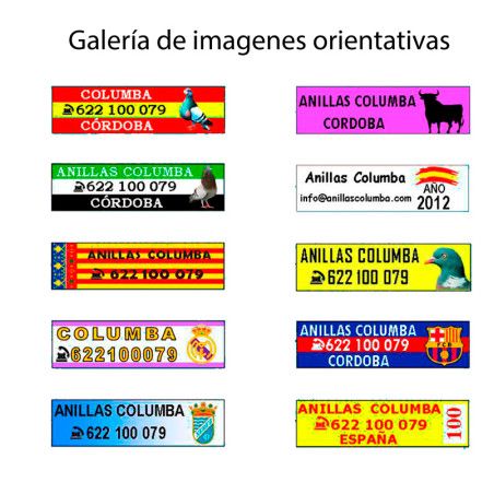 Anillas Impresas - Imagen 9