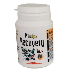 Prowins Recovery Tabs. Recuperador y energético de efecto instantáneo. Para palomas de competición